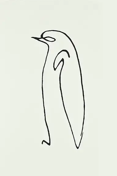 Pablo Picasso Line Drawings